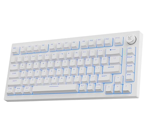 Kreo Swarm X Wireless Mechanical Gaming Keyboard – Huano Red Switches, Pass Through Keycaps with RGB, Tri-Mode Connectivity (2.4Ghz/Bluetooth/Wired), 5-Pin Hot-Swap, for Windows & MacOS (White)